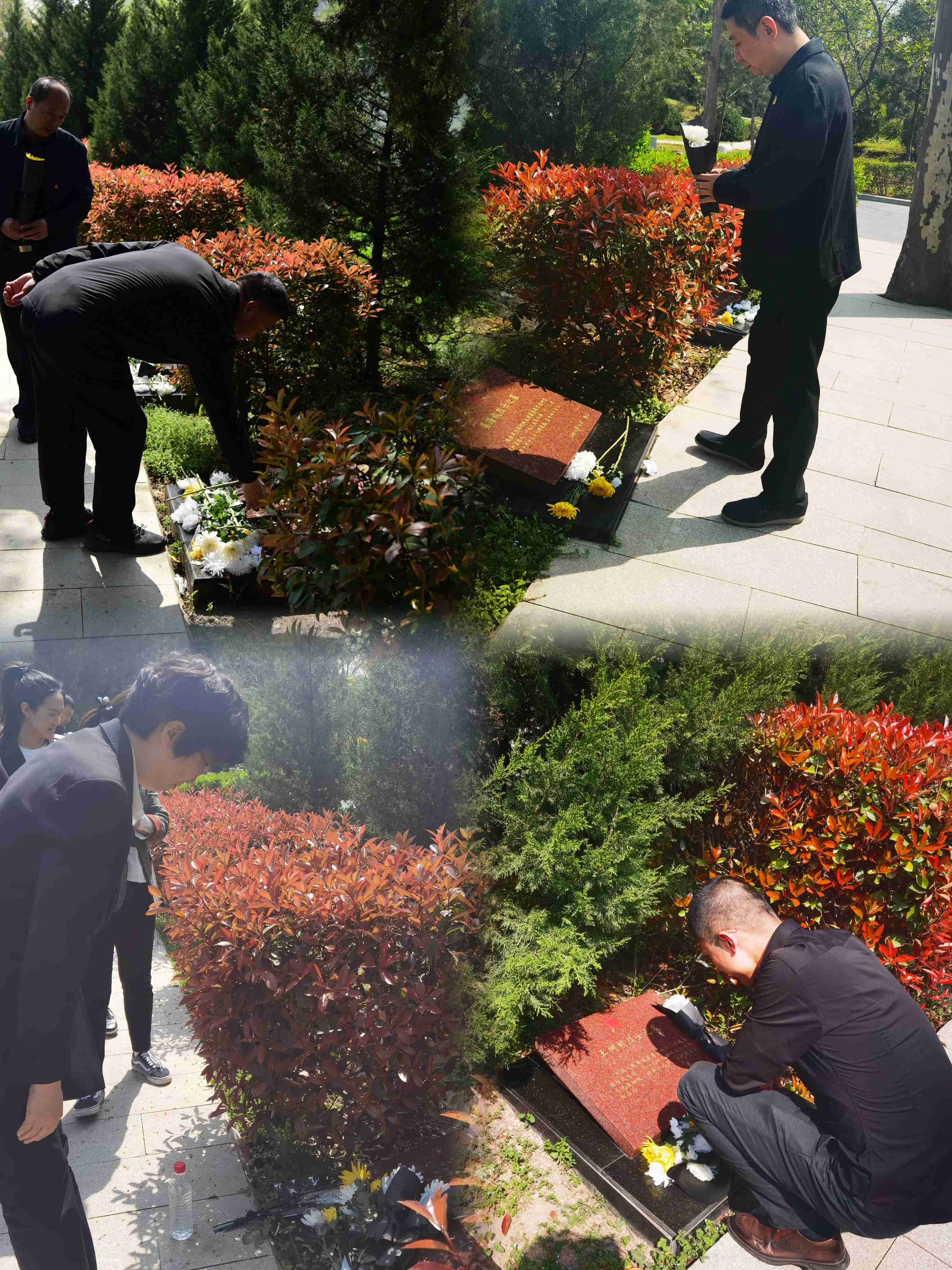 1680254987480.jpg 微信圖片_20230331171039(1).jpg